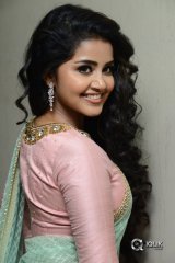 Anupama Parameswaran At Vunnadhi Okate Zindagi Movie Audio Launch
